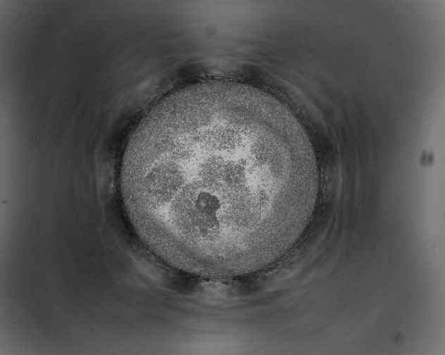 X0000102260703200808081401