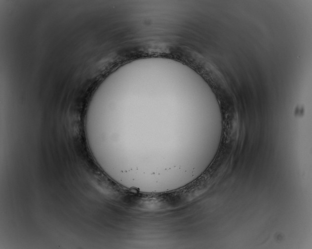 X0000102260704200808081401