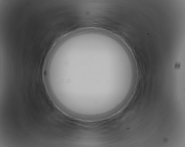 X0000102260705200808081401