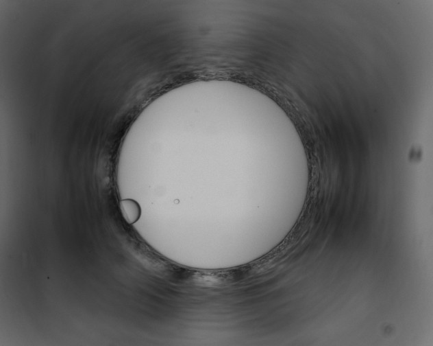 X0000102260706200808081401