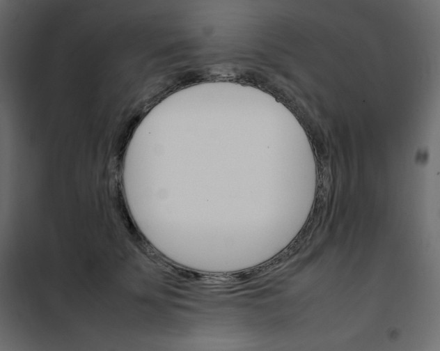 X0000102260707200808081401