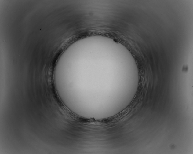 X0000102260708200808081401