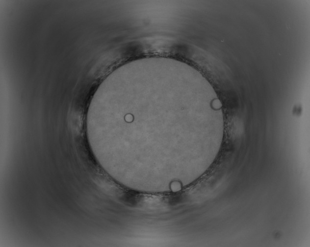 X0000102260709200808081401