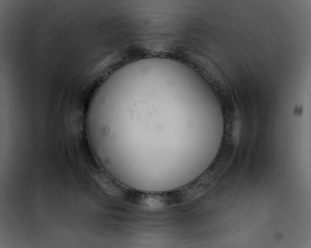 X0000102260710200808081401