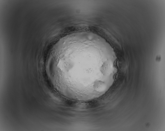 X0000102260711200808081401