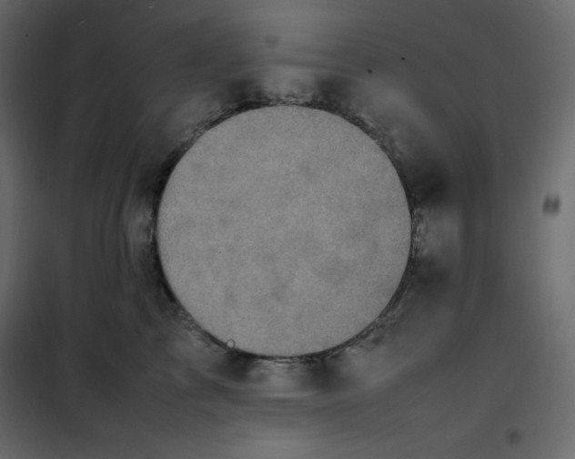 X0000102260713200808081401