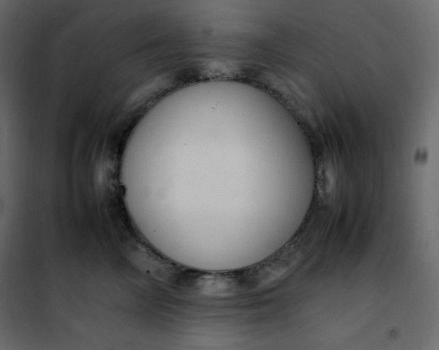 X0000102260714200808081401