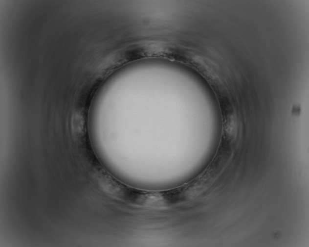 X0000102260715200808081400