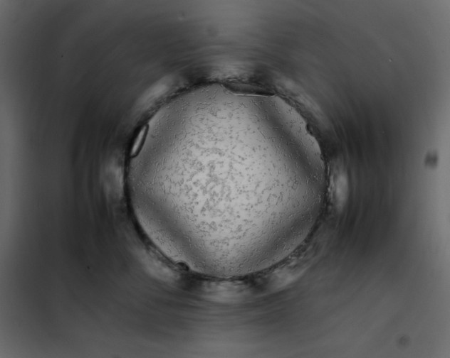 X0000102260716200808081400