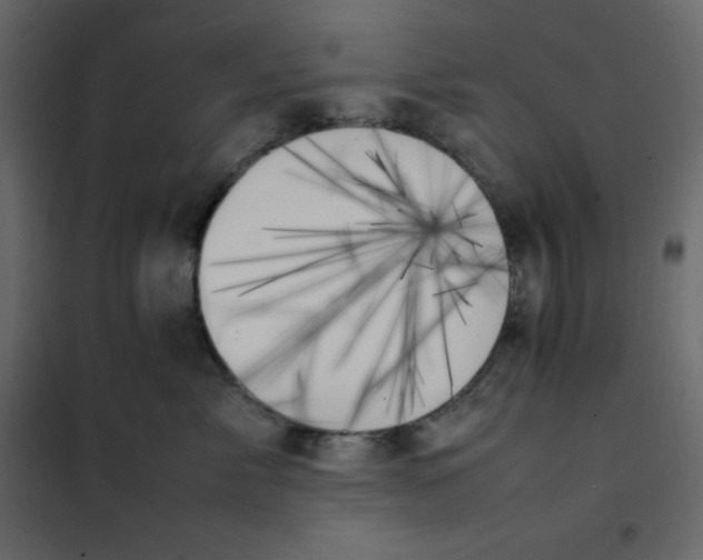 X0000102260717200808081400