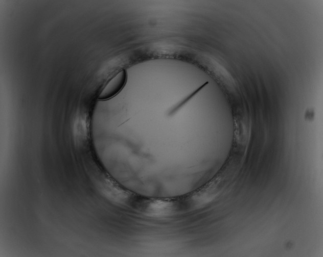 X0000102260718200808081400