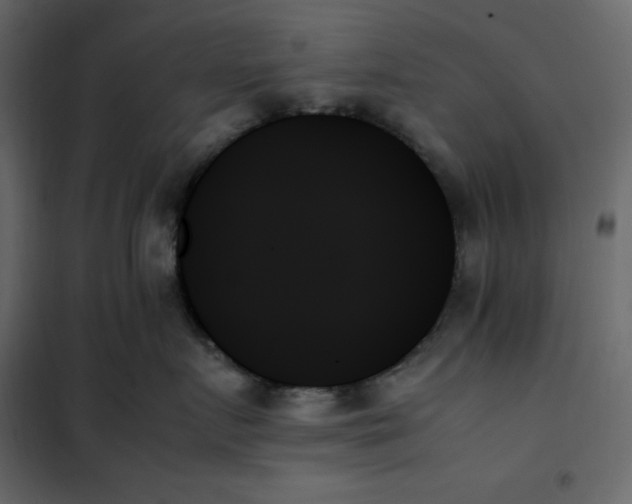 X0000102260719200808081400