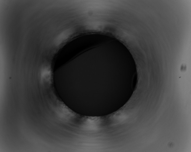 X0000102260720200808081400