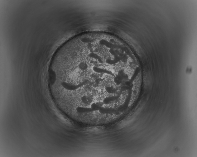 X0000102260721200808081400