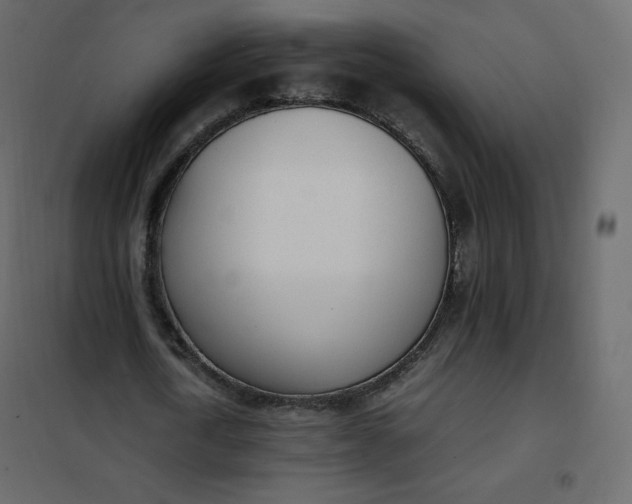 X0000102260722200808081400