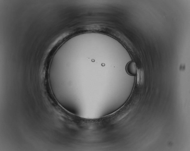 X0000102260723200808081400