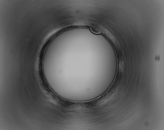 X0000102260724200808081400