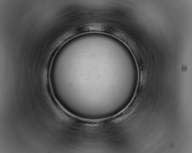 X0000102260725200808081400