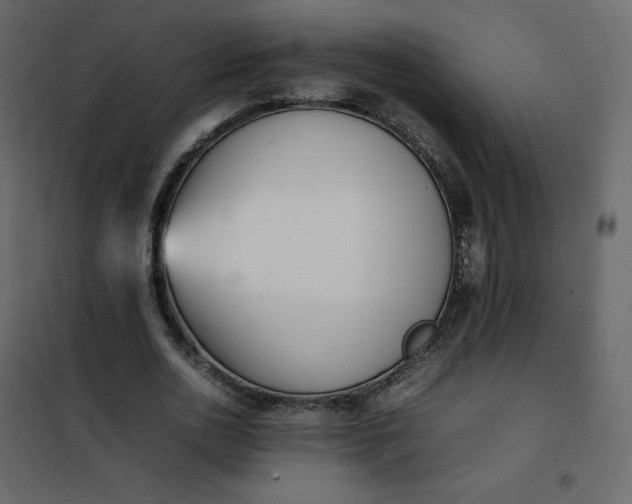 X0000102260726200808081400