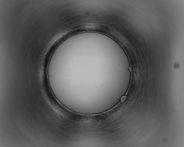 X0000102260728200808081400