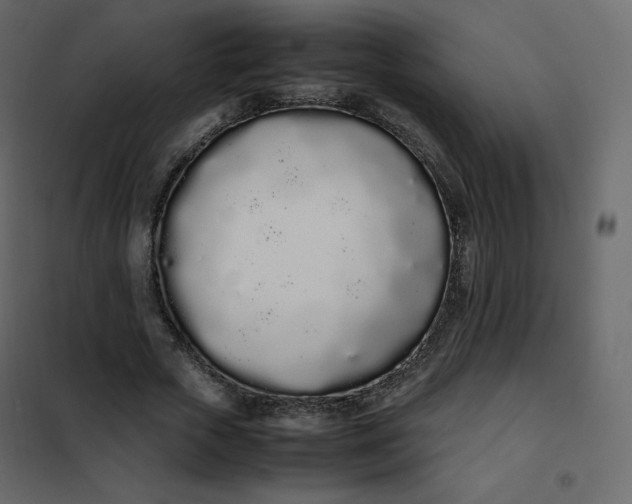 X0000102260729200808081400