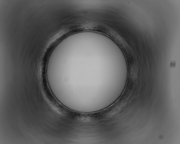 X0000102260730200808081400