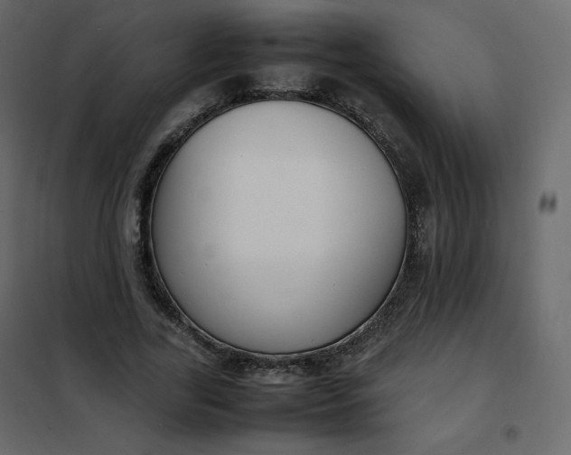 X0000102260731200808081400