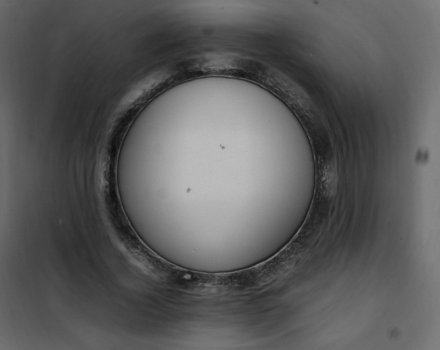 X0000102260732200808081400