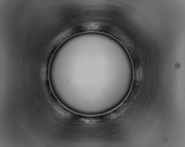 X0000102260733200808081400