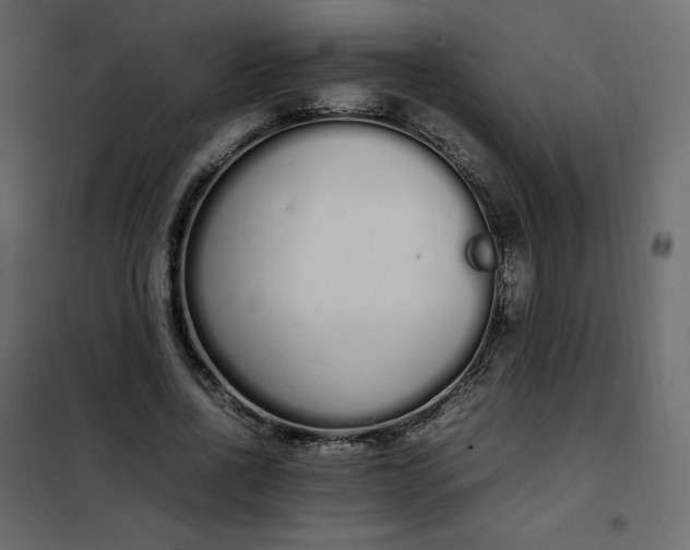 X0000102260734200808081400