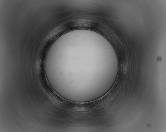 X0000102260735200808081400