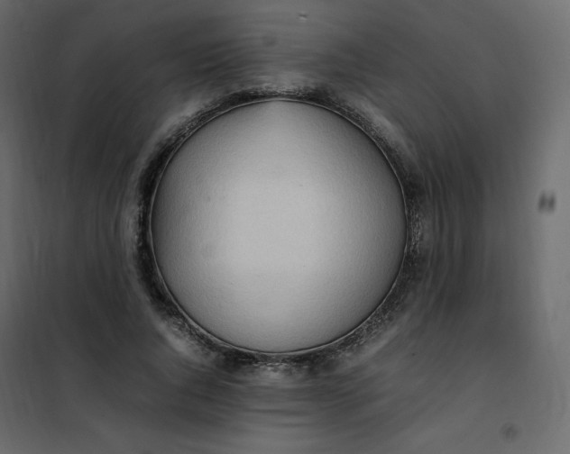 X0000102260736200808081400