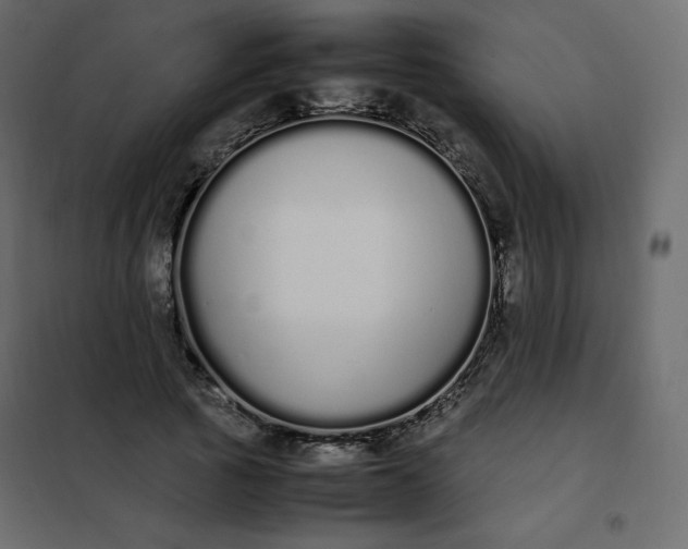 X0000102260737200808081400