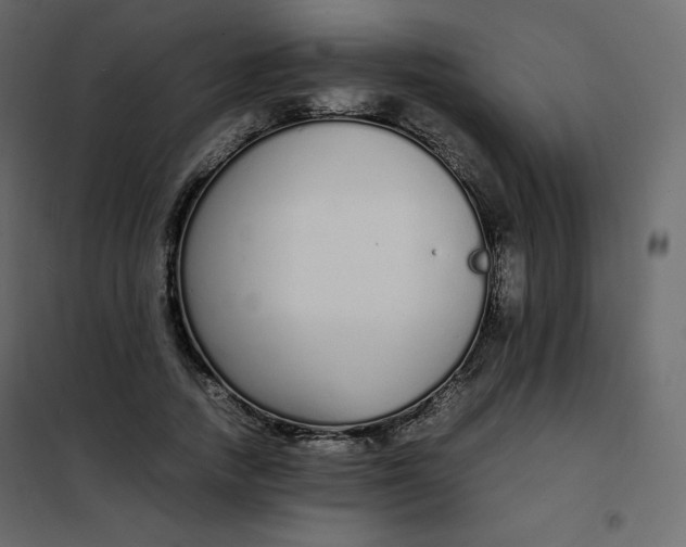 X0000102260738200808081400