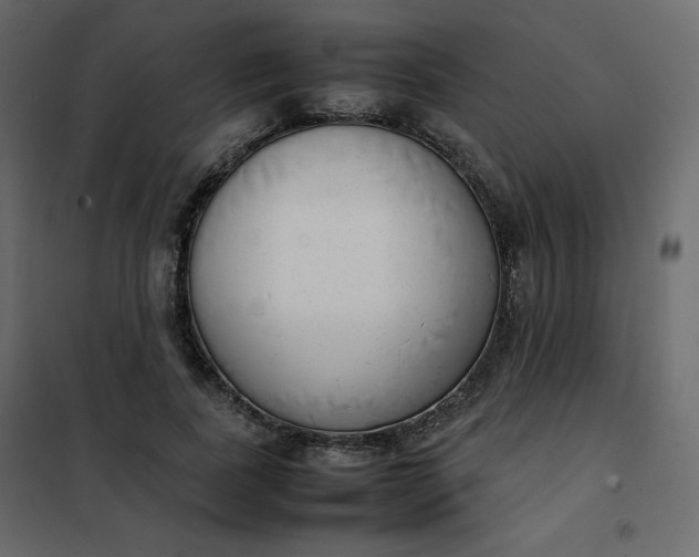 X0000102260739200808081400