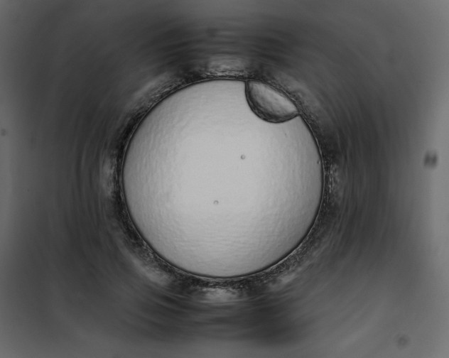 X0000102260741200808081400