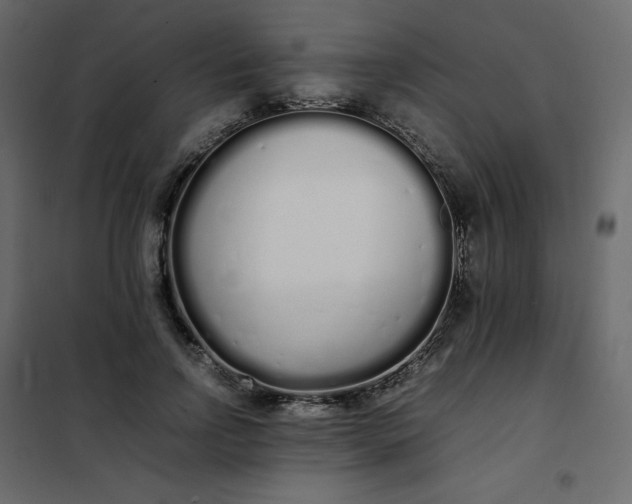 X0000102260742200808081400