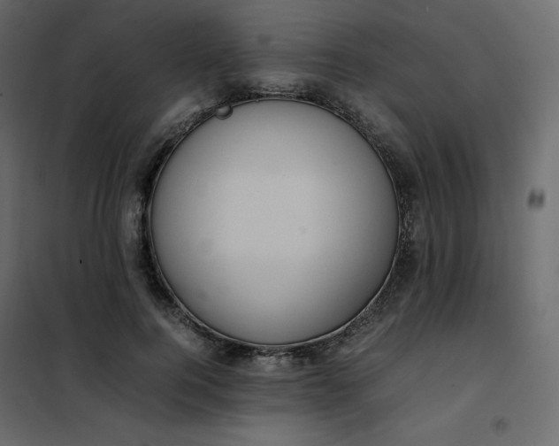 X0000102260744200808081400