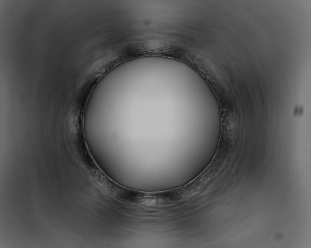 X0000102260746200808081400