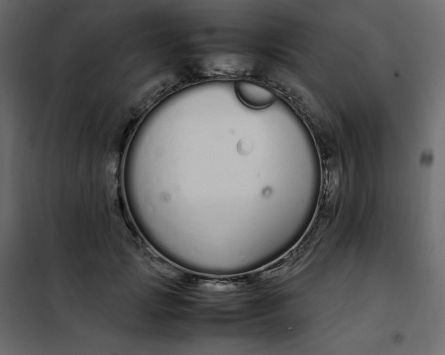 X0000102260749200808081400