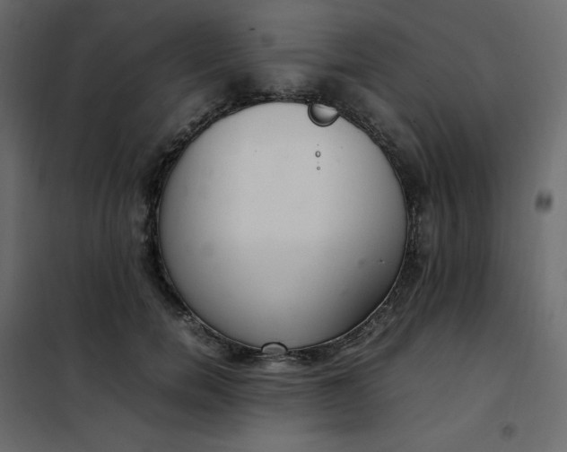 X0000102260750200808081400