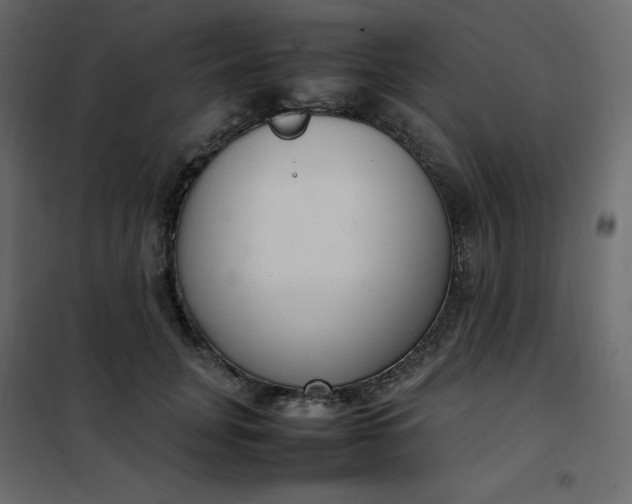 X0000102260751200808081400