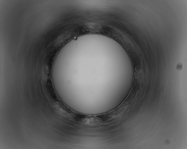 X0000102260752200808081400