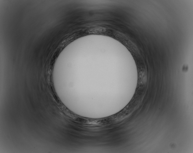 X0000102260753200808081400