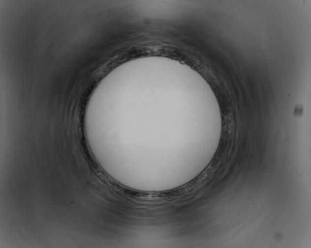 X0000102260754200808081400