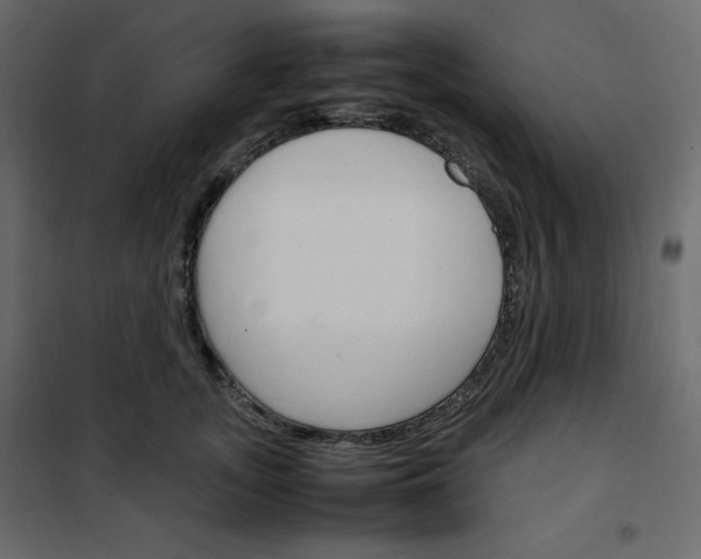 X0000102260755200808081400