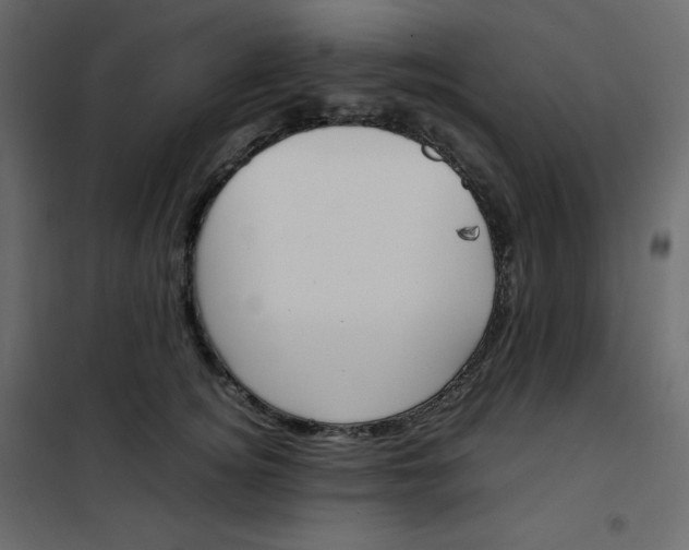 X0000102260756200808081400