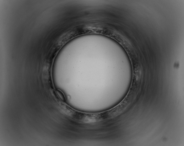 X0000102260757200808081400