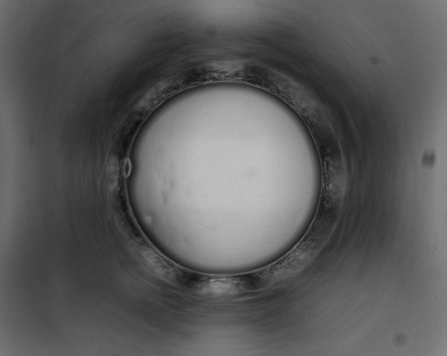 X0000102260758200808081400