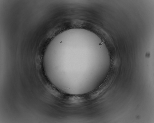 X0000102260759200808081400